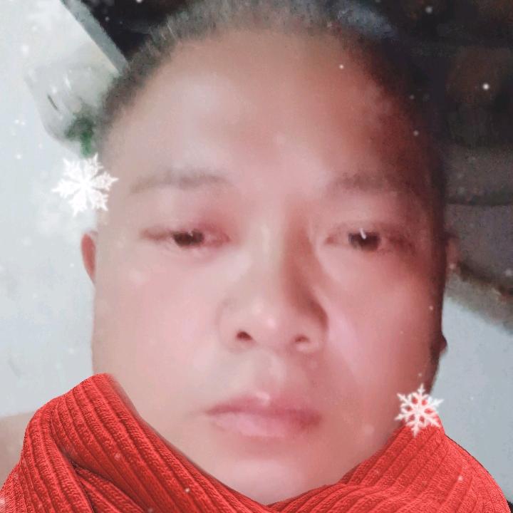 老谭