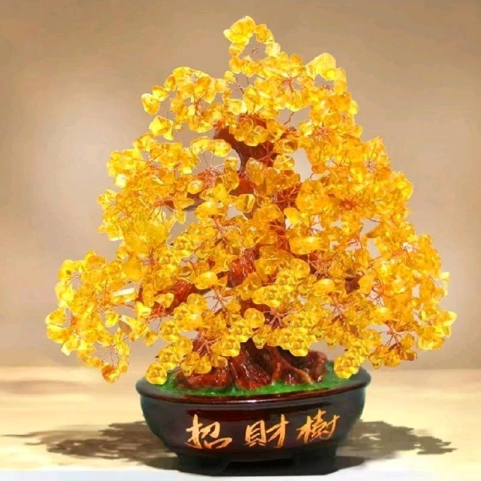 真情有你