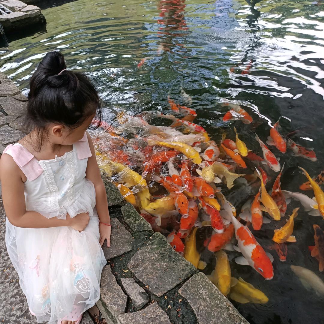 杨小佳比比