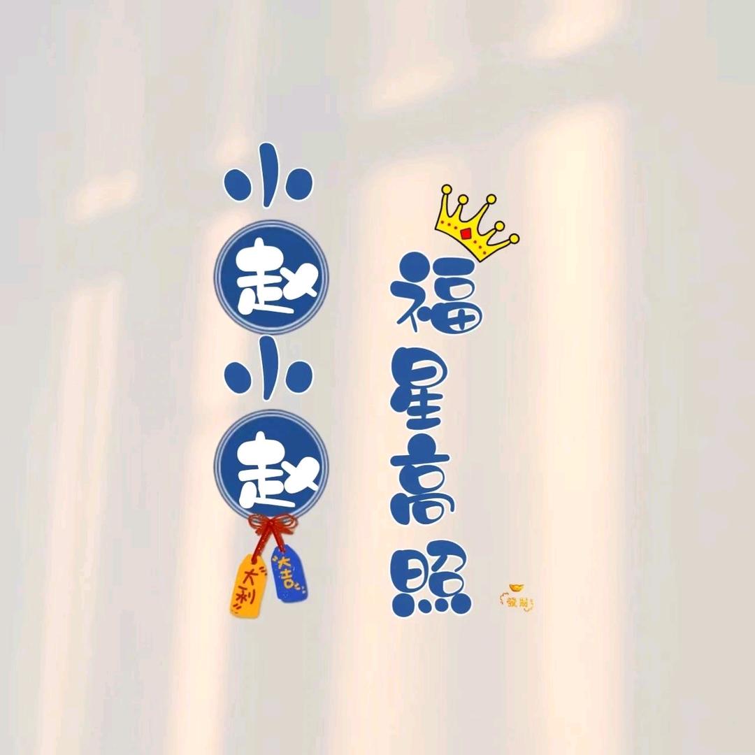 赵小N