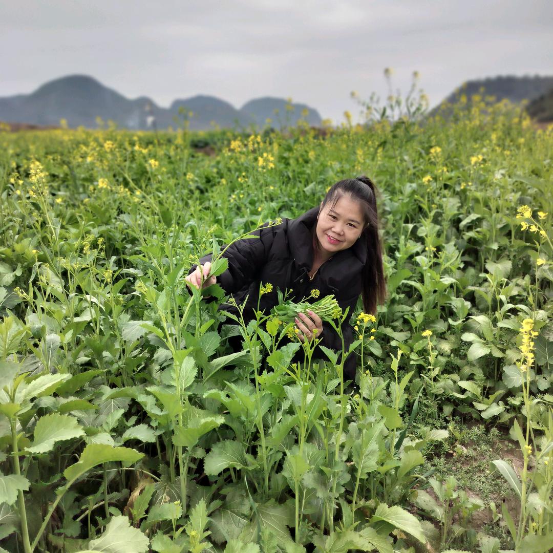 🥀何必ꦽ᭨在意ꦾᩚ࿐