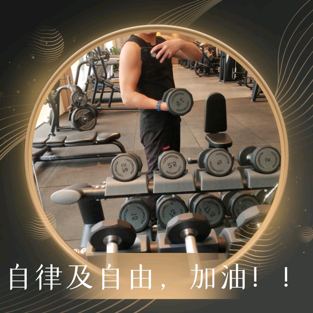 迷路的麋鹿