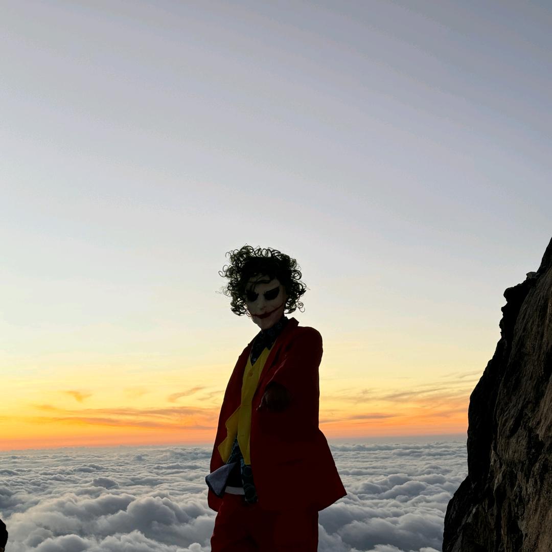 向导小小马（高山骡子）沙峰户外