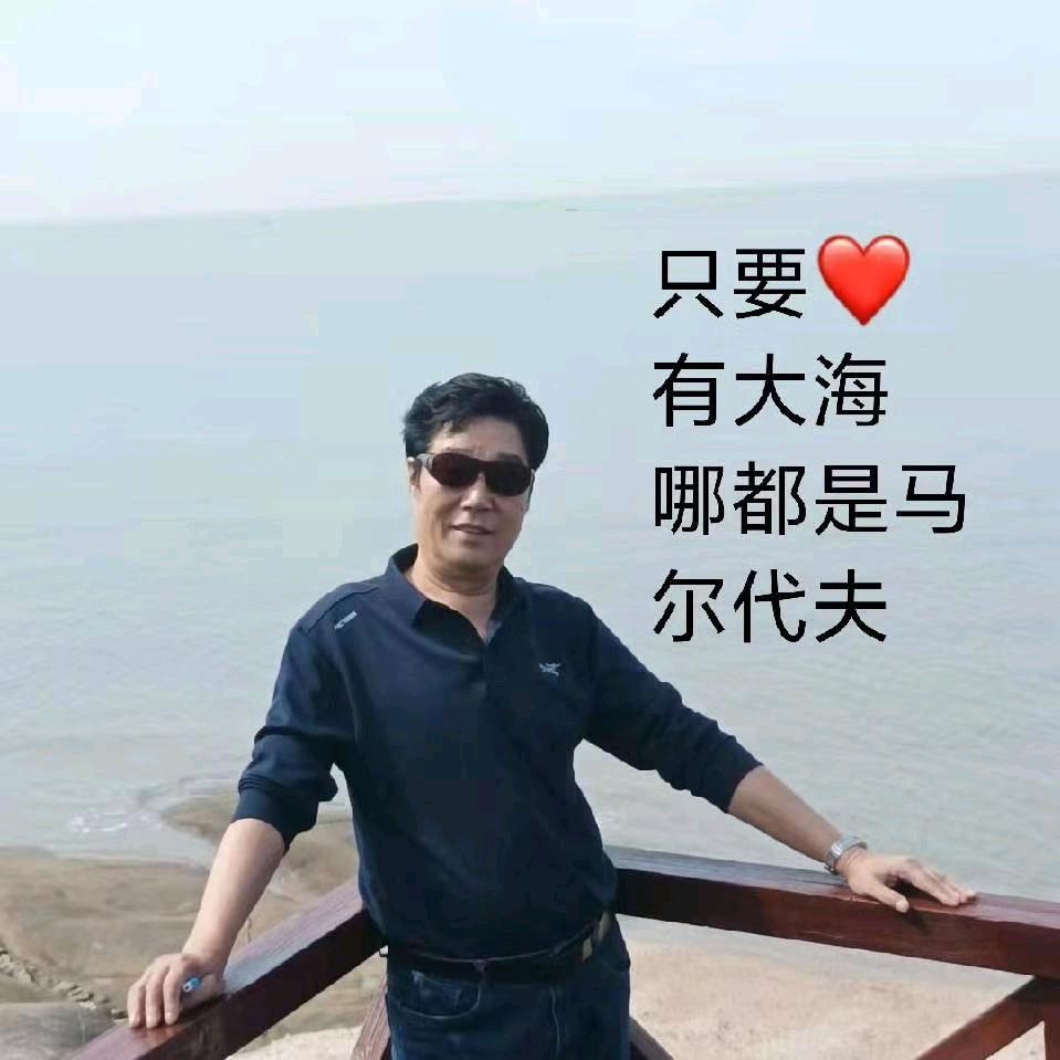 峭崖雾松