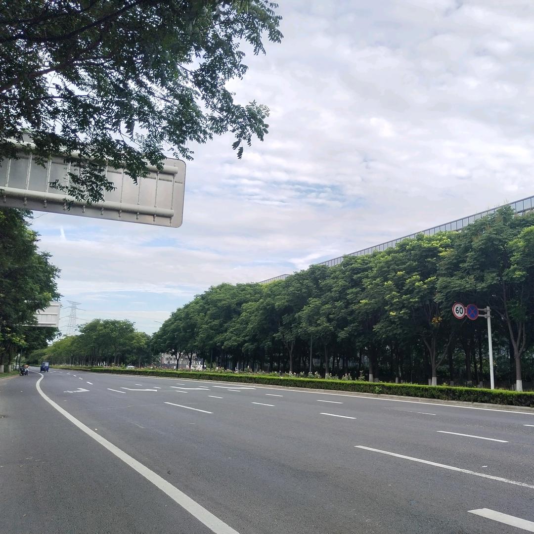 旅途小蜗牛头像