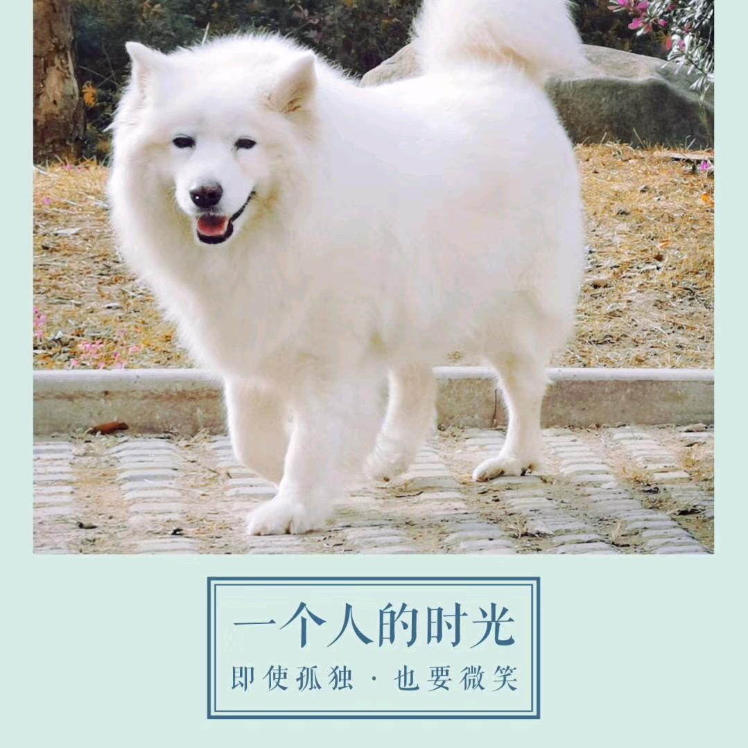 亮姐