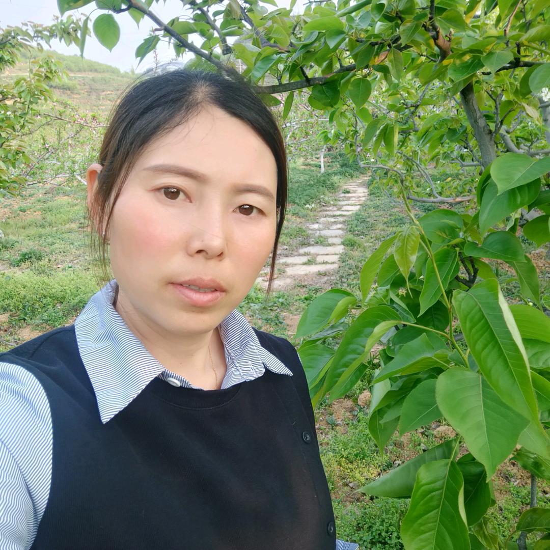 营坪果园赵小敏(官梨、中秋李、黄桃)