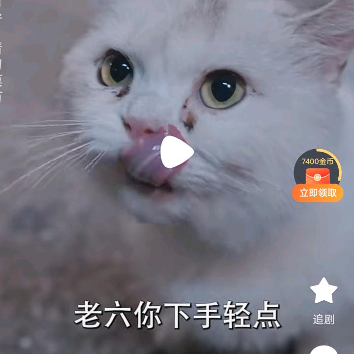 用户5421875+512469