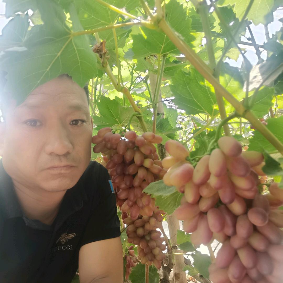 饶阳彦超农业