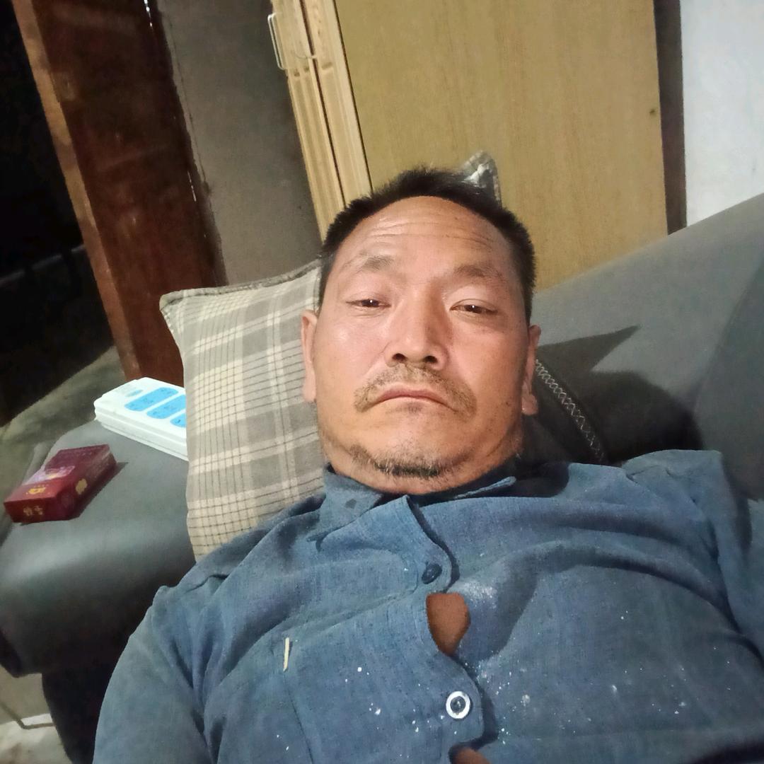 专业养狮头鹅贵州安龙陈朝芋