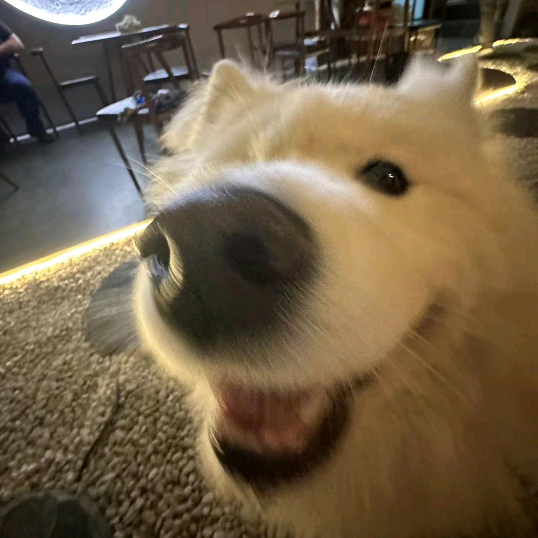 鸢瞳