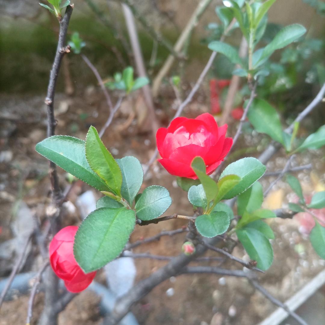 𝓙𝓮𝓷𝓷𝓲𝓯𝓮𝓻～