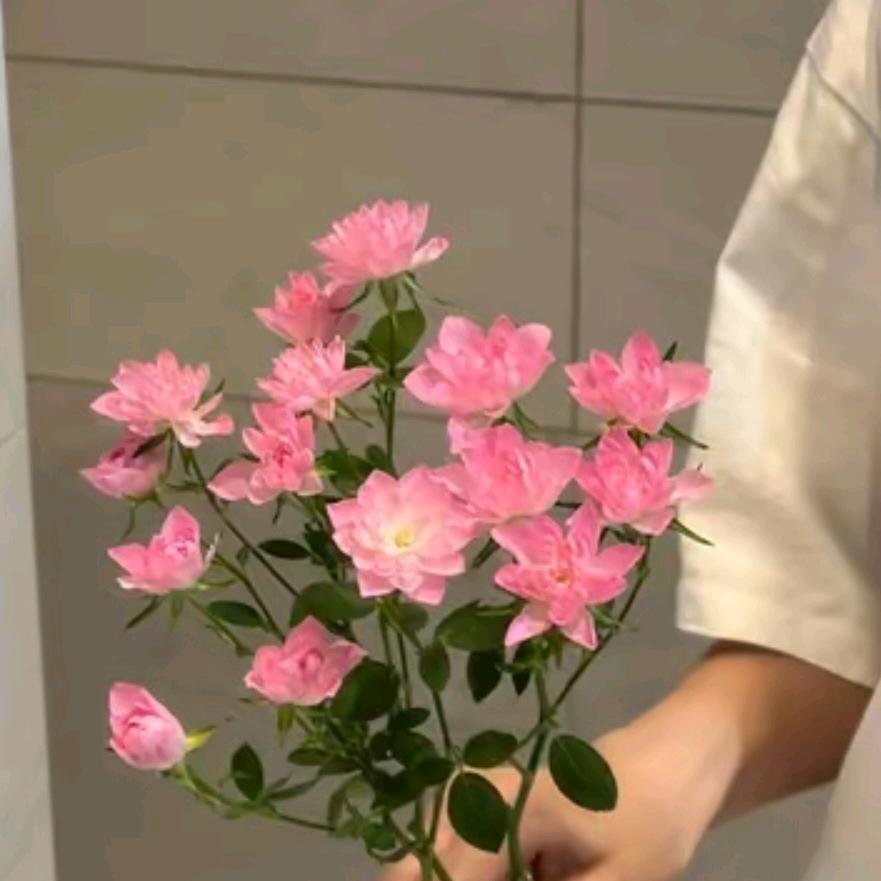 邓等喵
