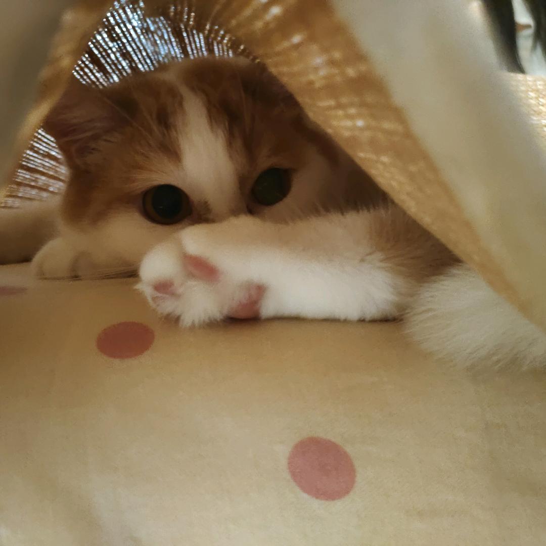 抠脚小妹头像
