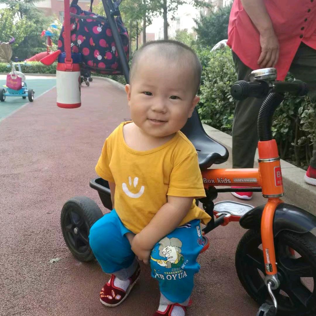 传鹰