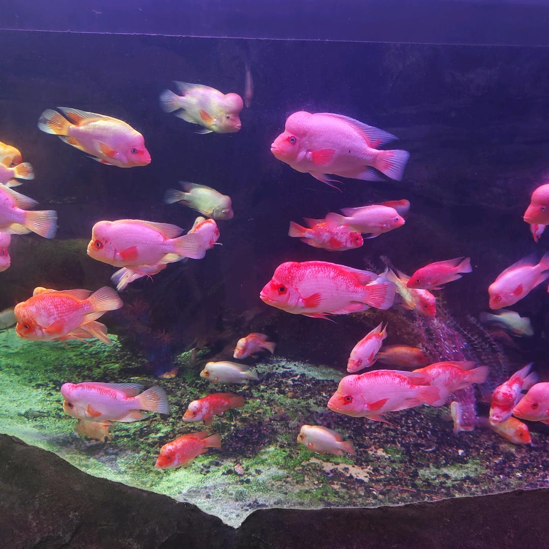 相濡以沫