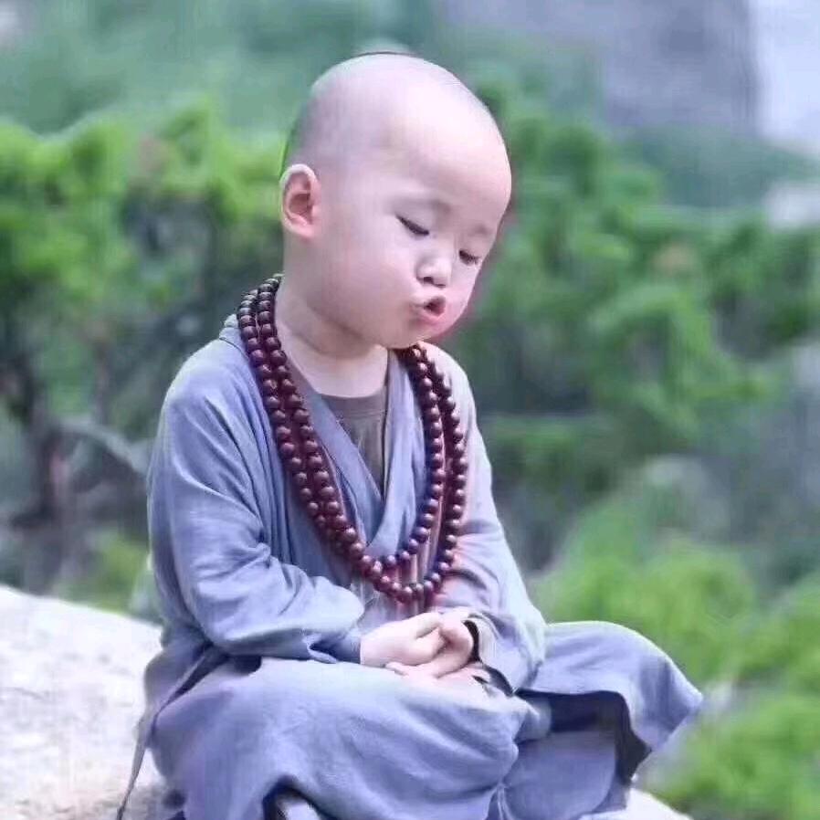 大鲤鱼