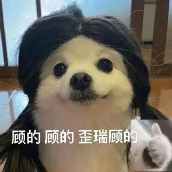 犯困的小鱼卷
