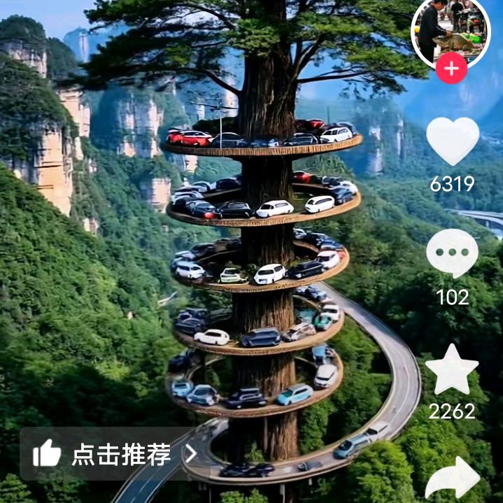我的家乡特产小黑稻