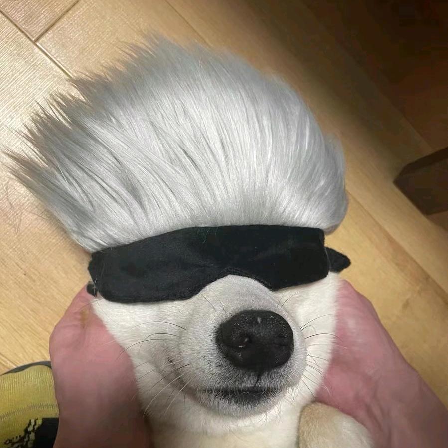 flyking🚀(蹭盘之神)