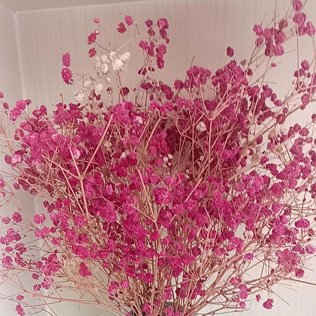 ໑ຼₒ₂₃ღ᭄乖乖就范 🕊꧔ꦿ᭄?