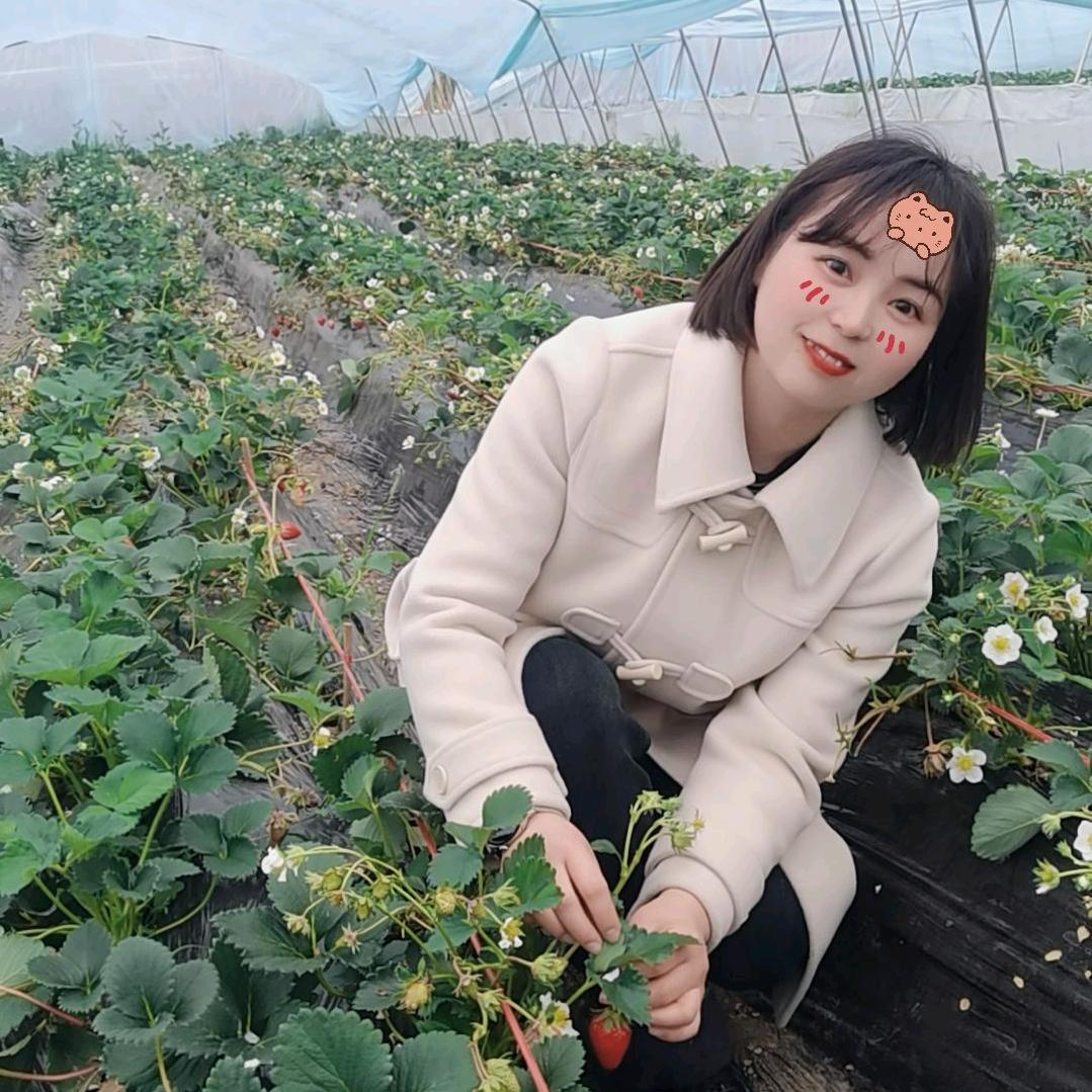 木子