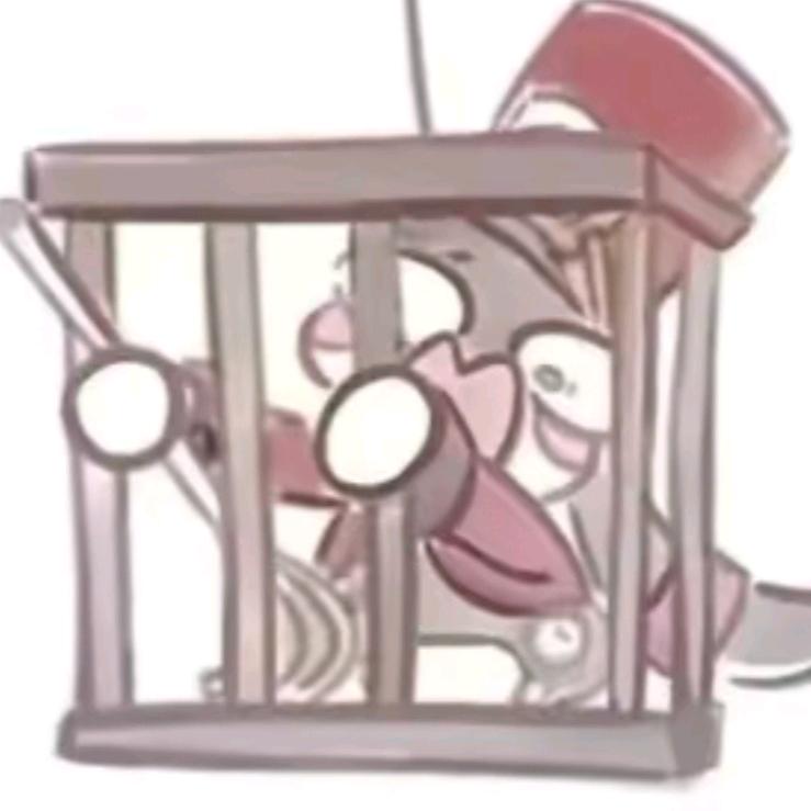 555