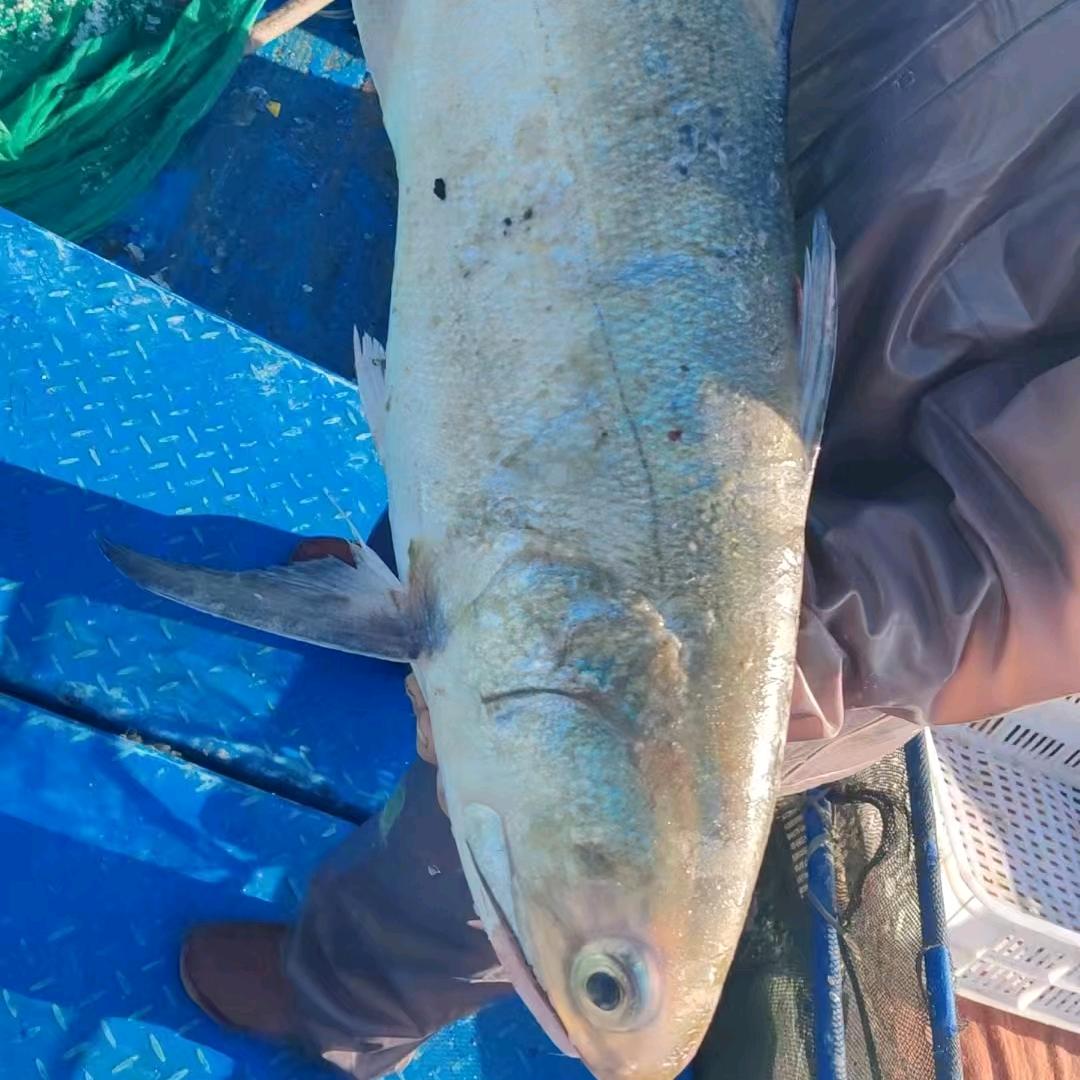 匠人渔网优品店