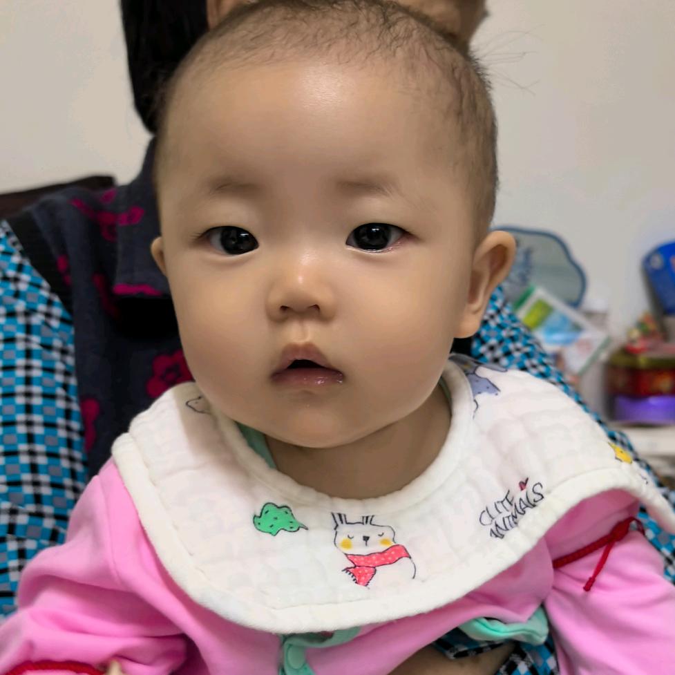 飒飒成长记