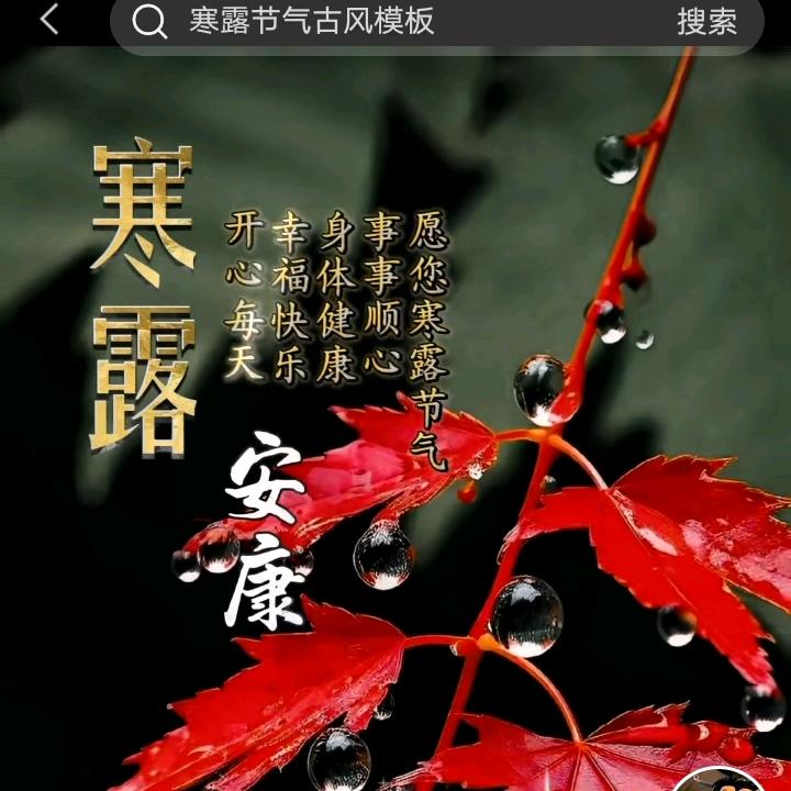 寒露节气