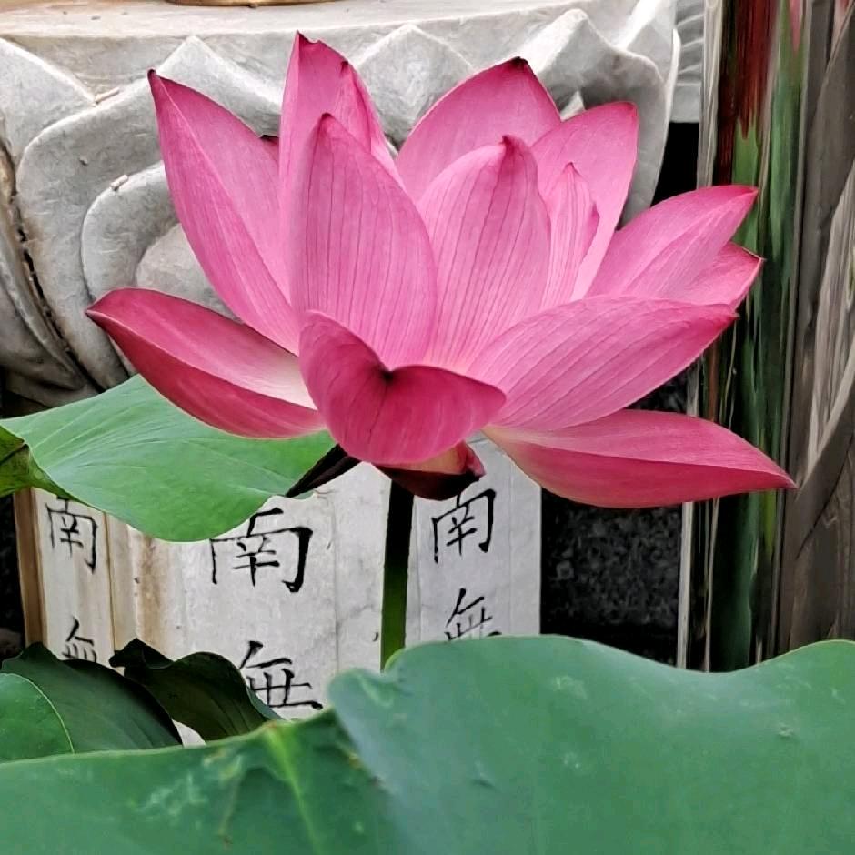 幸福永远