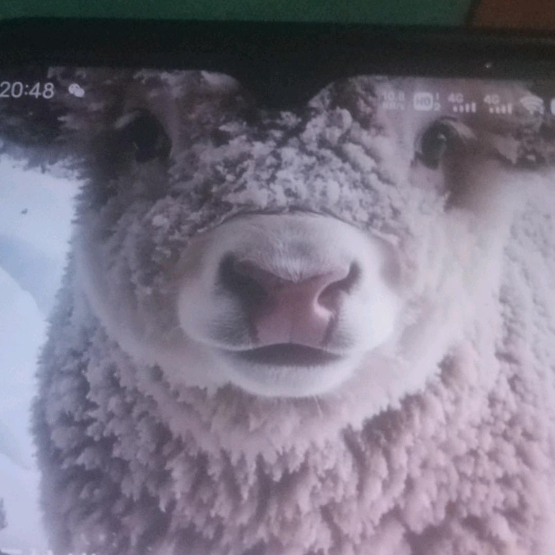 小何说起