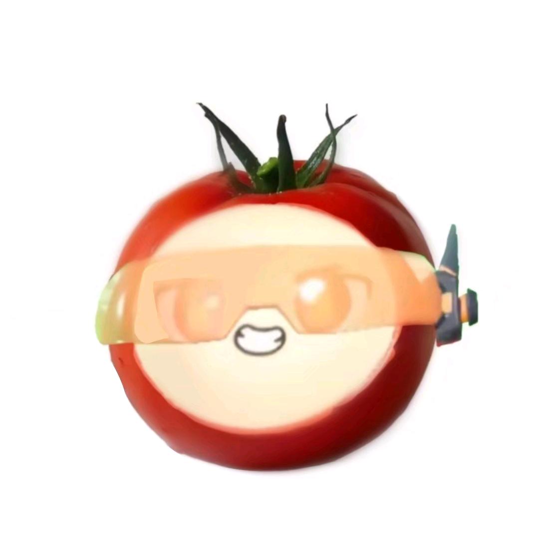 超燃西红柿[代言红]