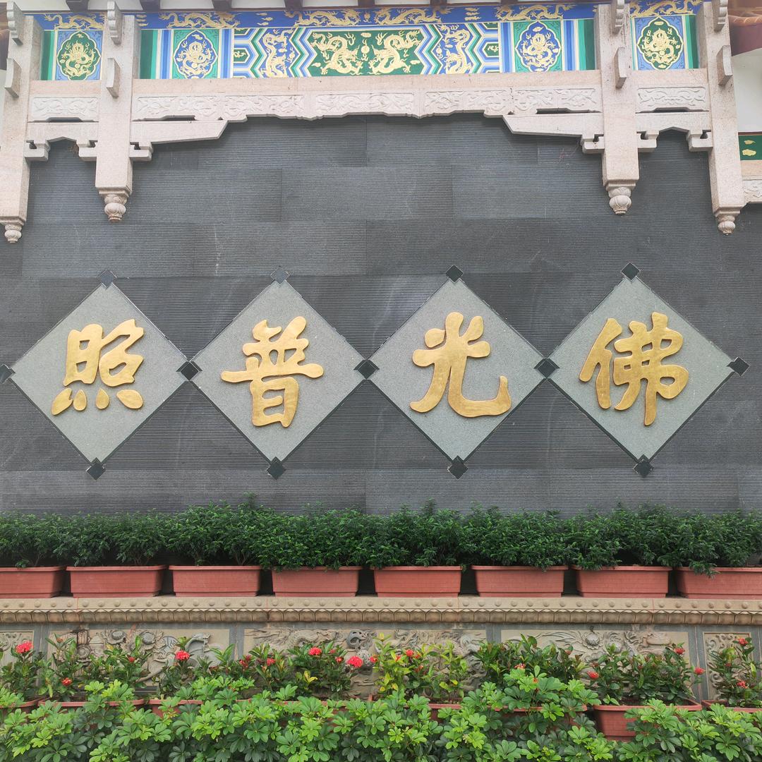 超越自己