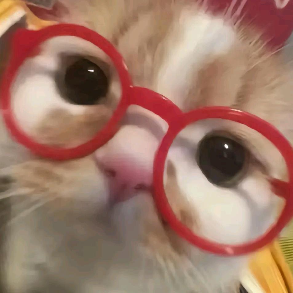 铁蛋