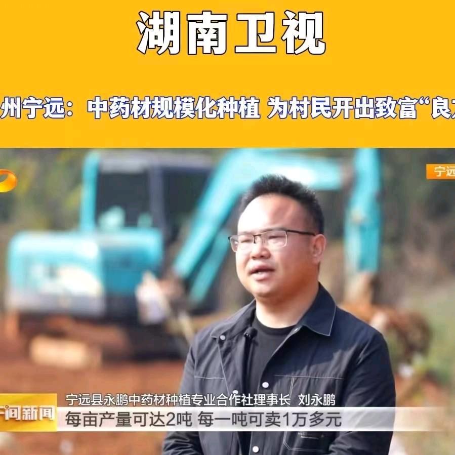 刘胖子药材种植