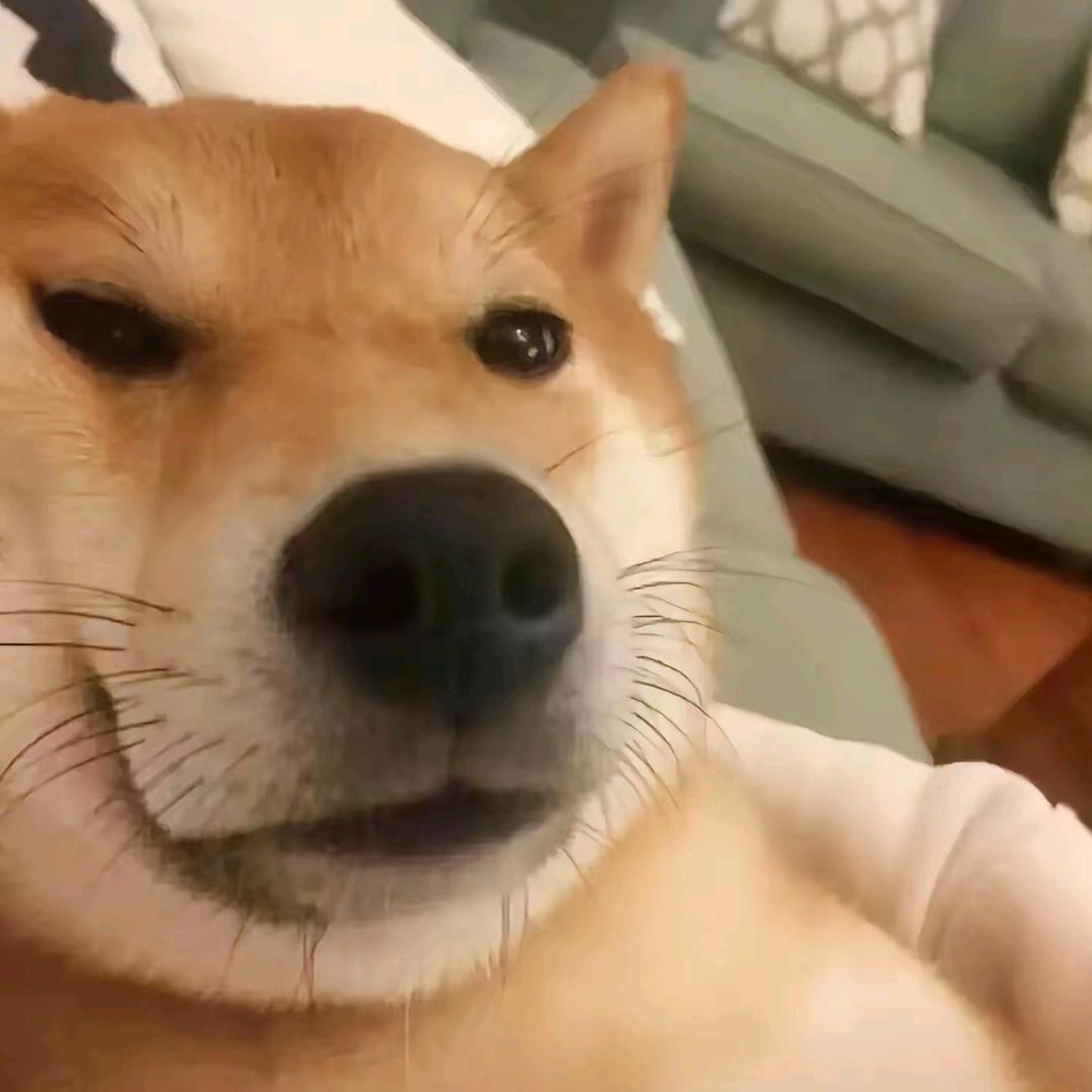 张xiao伙