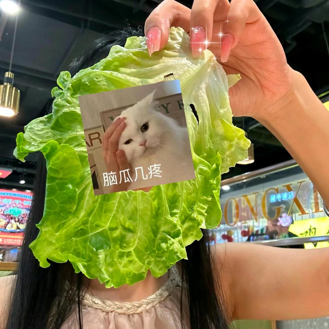 吴种生菜🥬