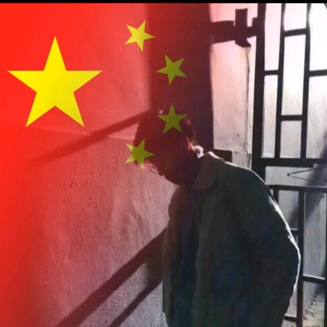 陈烁.