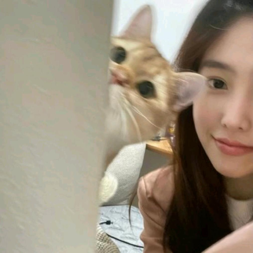 viiwen