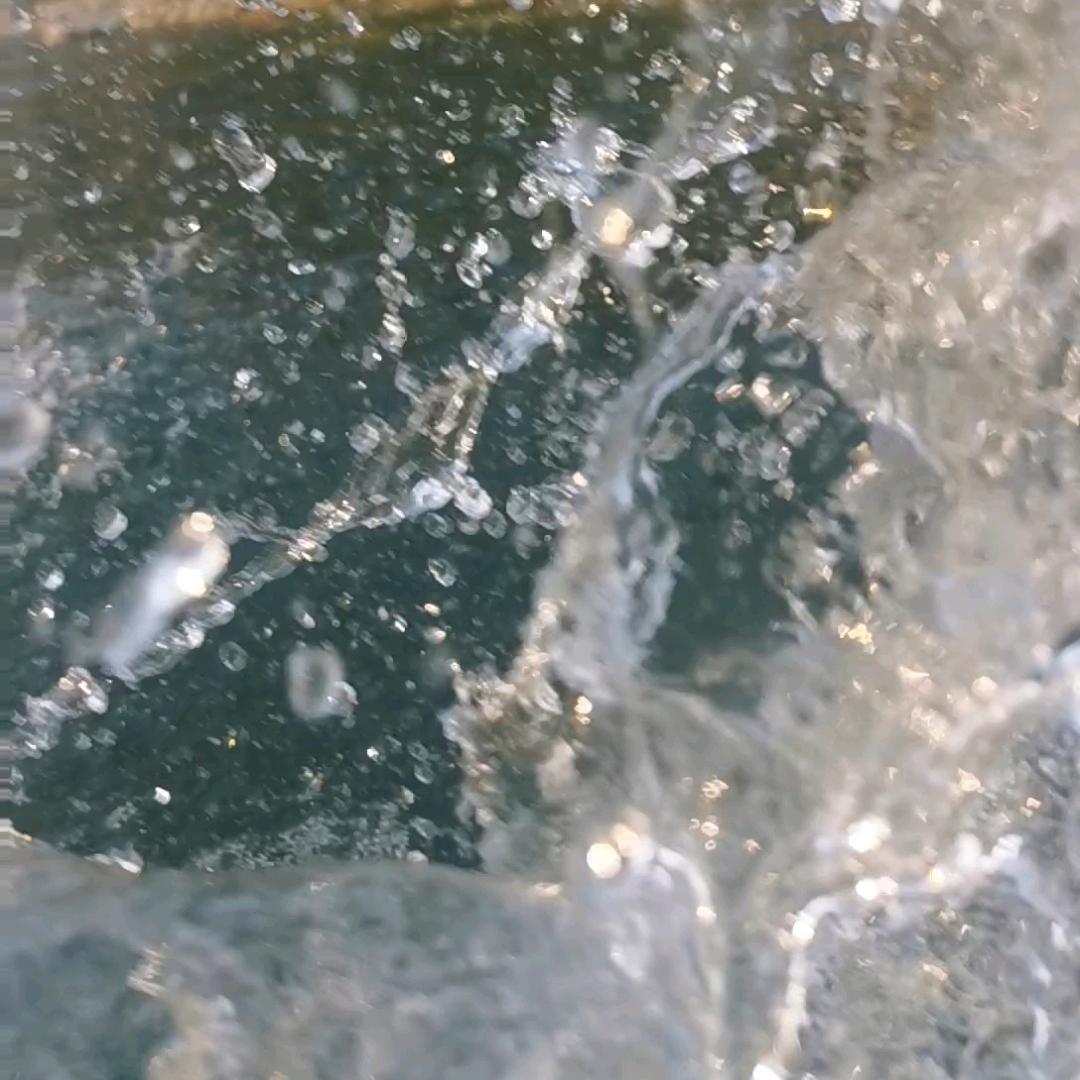 无产阶级实践家