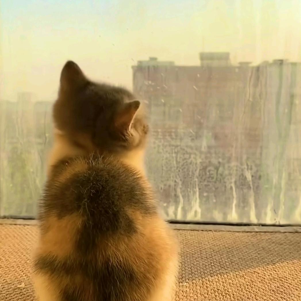 雾眠气泡水