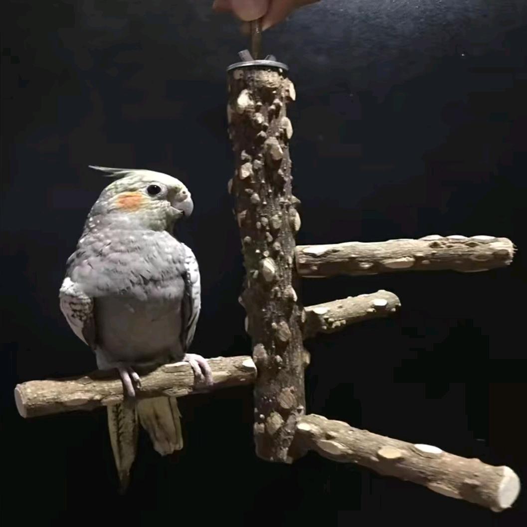 花椒木制品批发