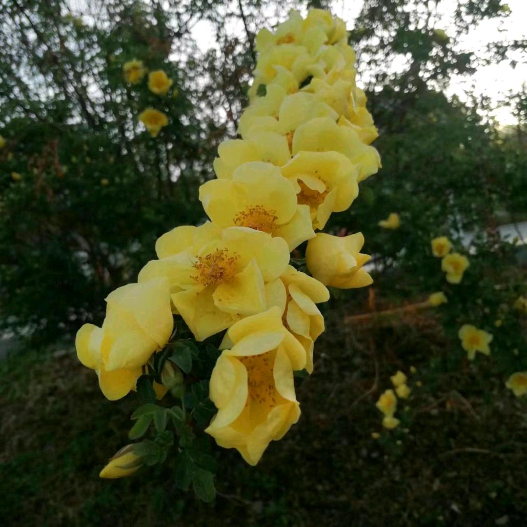 时间有泪