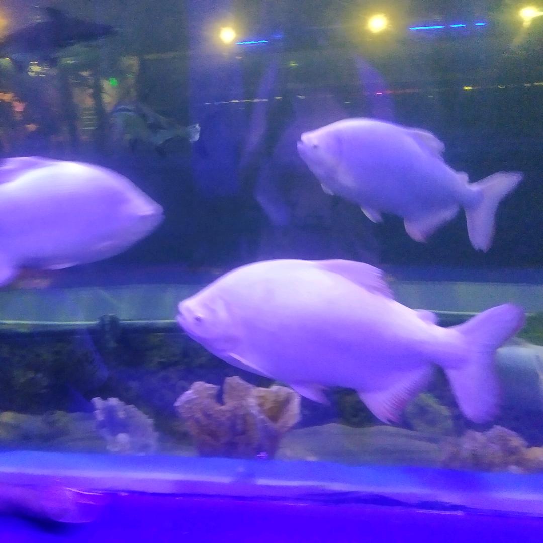 🎀🎀幺妹儿🎀🎀