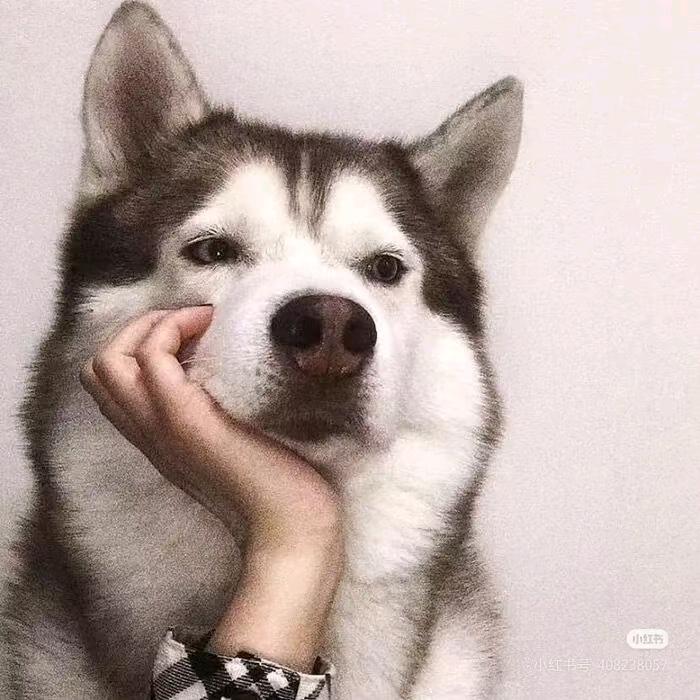 笑三世