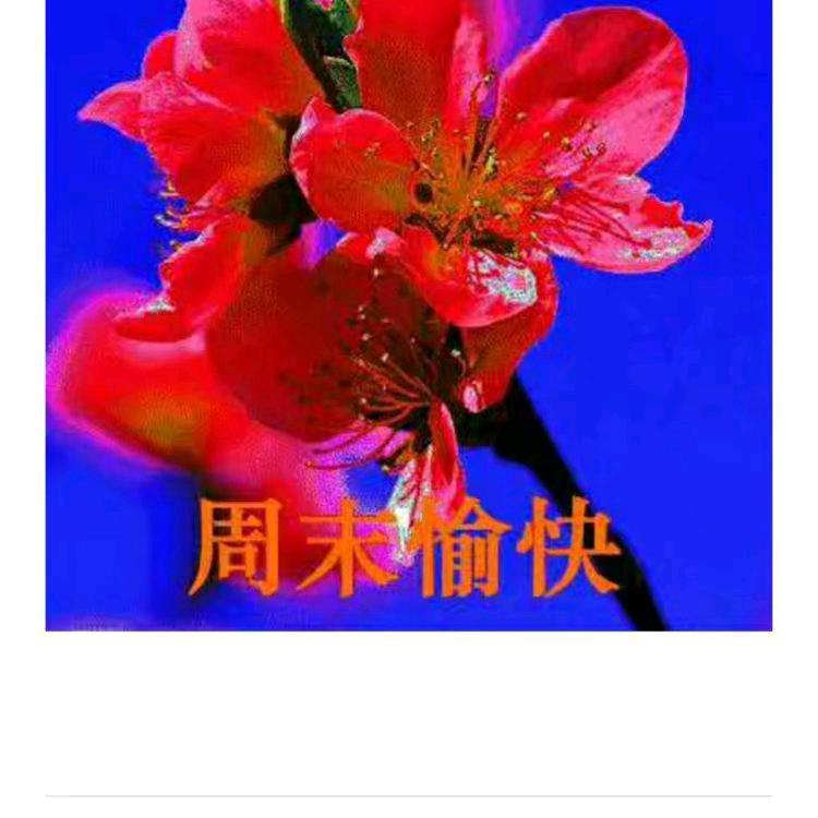 天天快乐，岁岁平安，见赞必回，回赞不回关