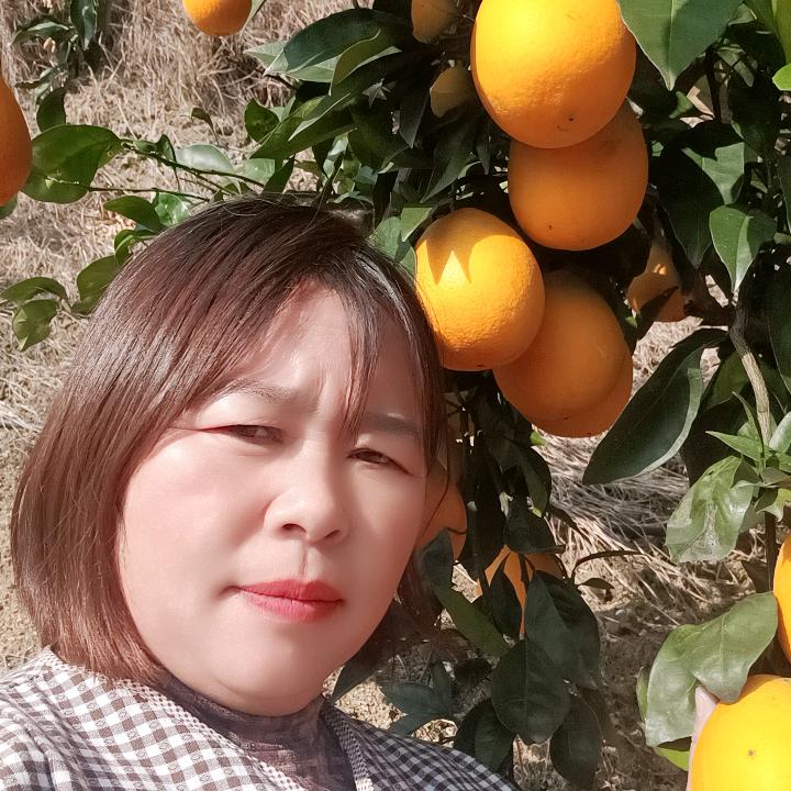 往事清零o