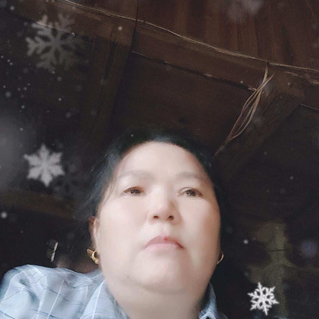 何洪素