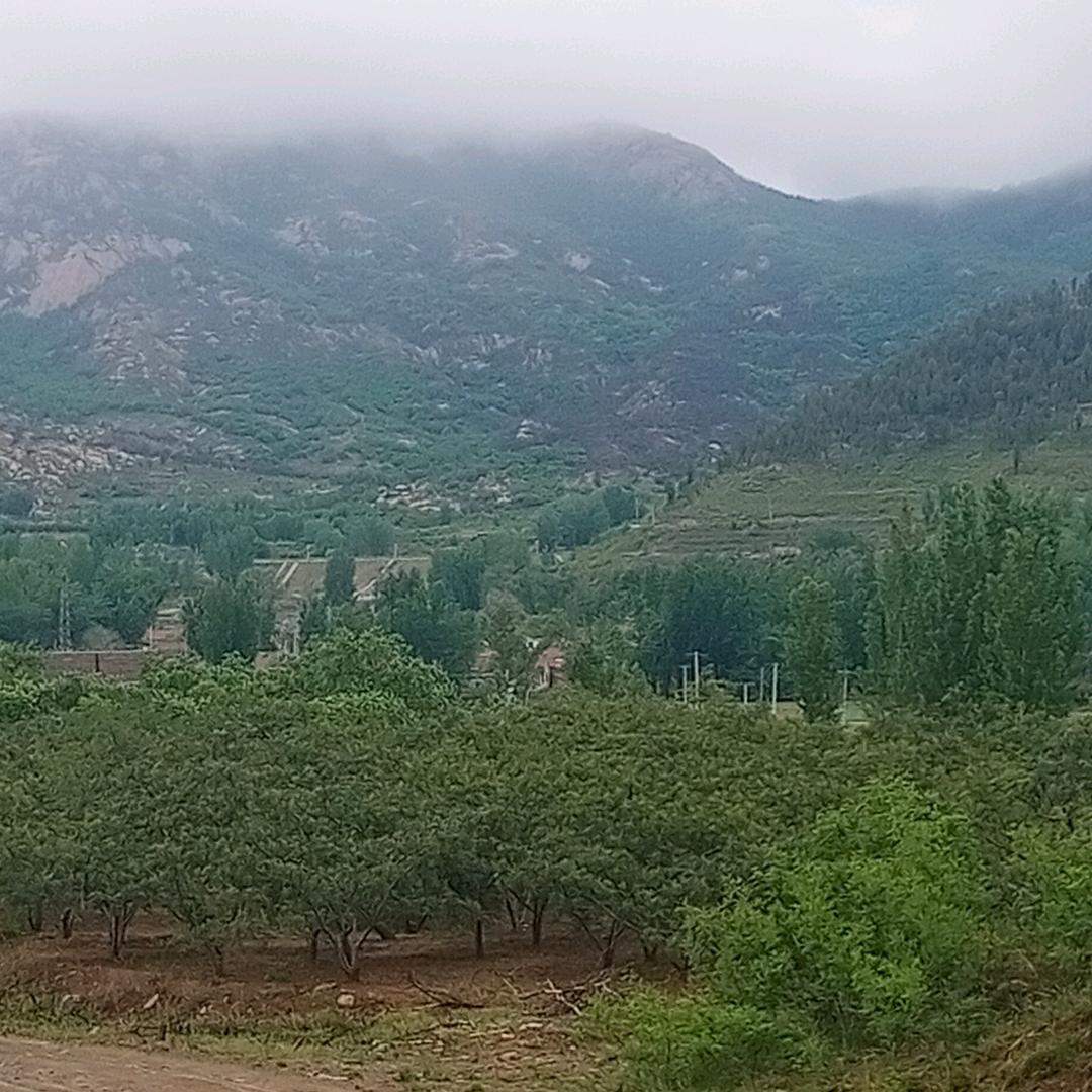 健康